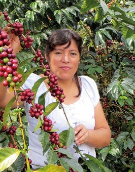 Peru Single Origin