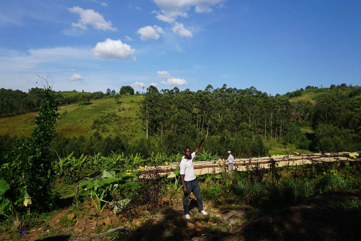 Burundi Single Origin