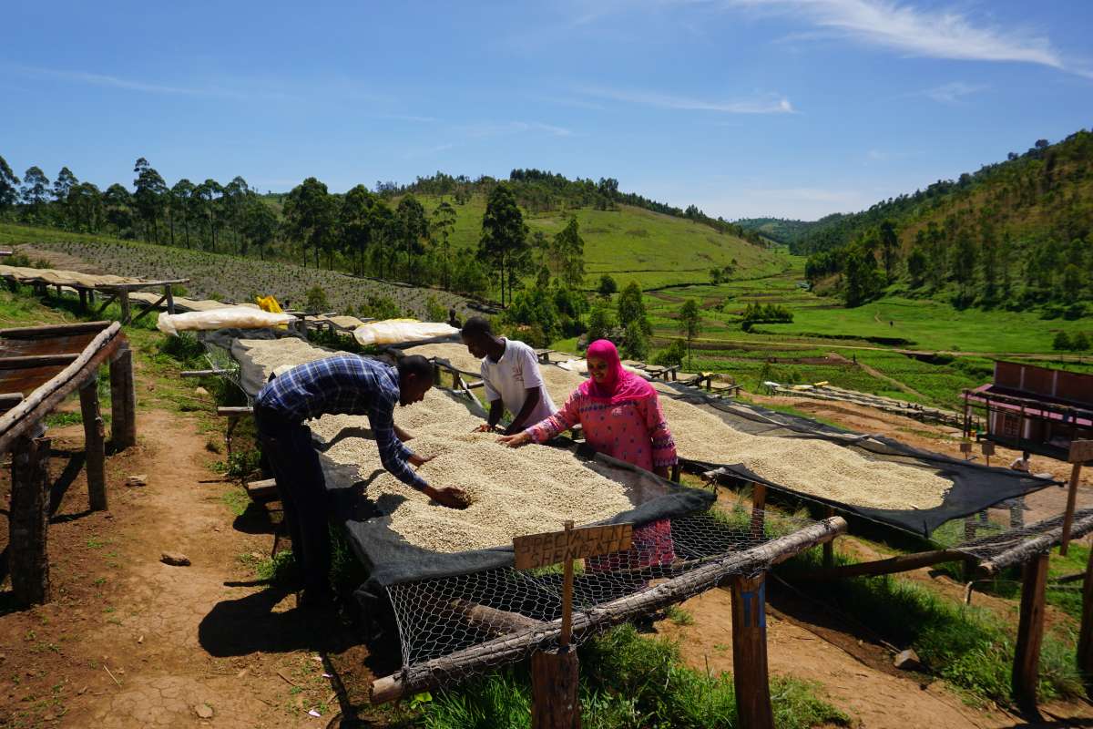 Burundi Single Origin