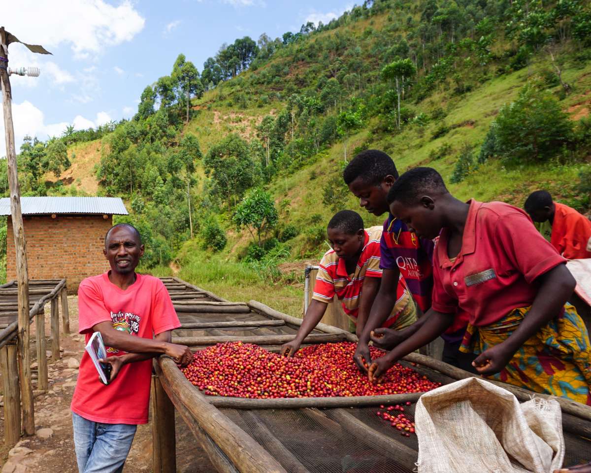 Burundi Single Origin