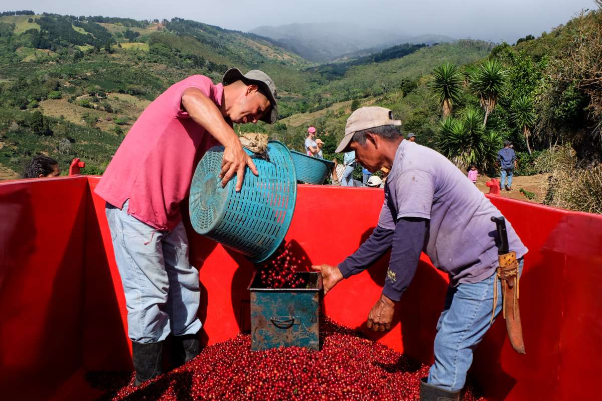 Costa Rica Single Origin