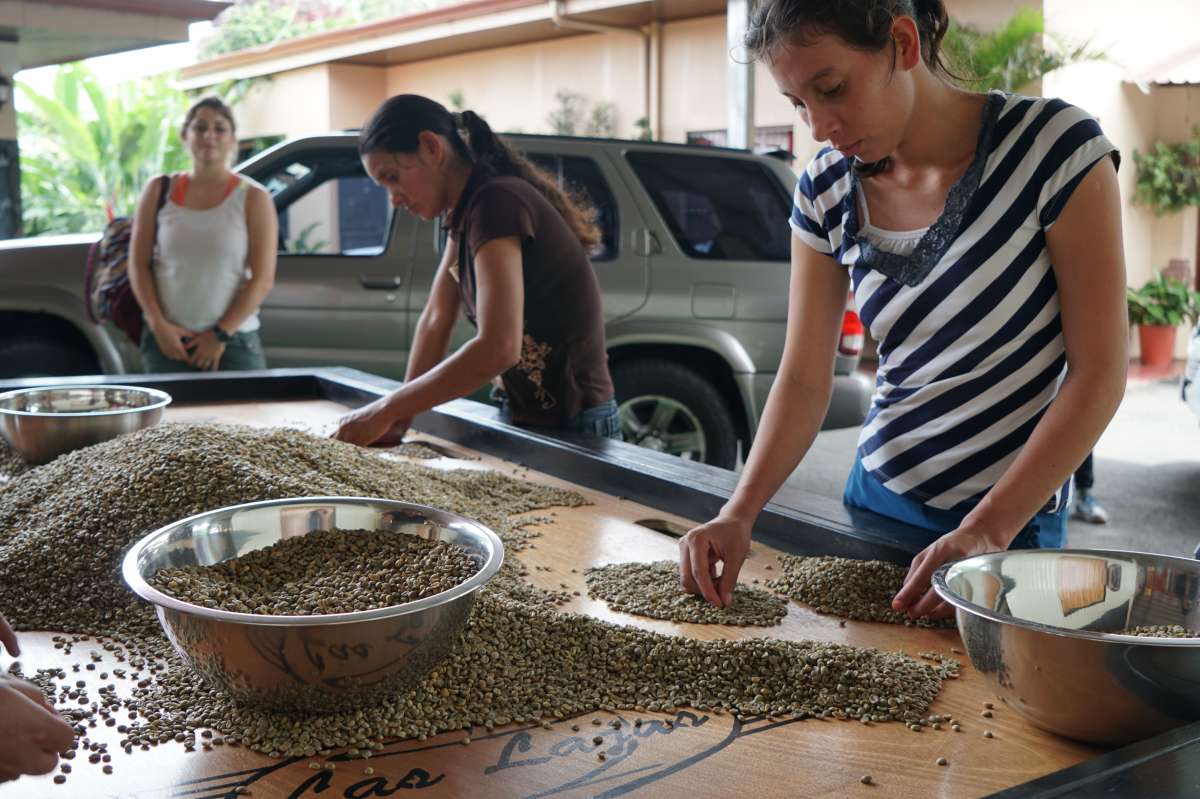 Costa Rica Single Origin