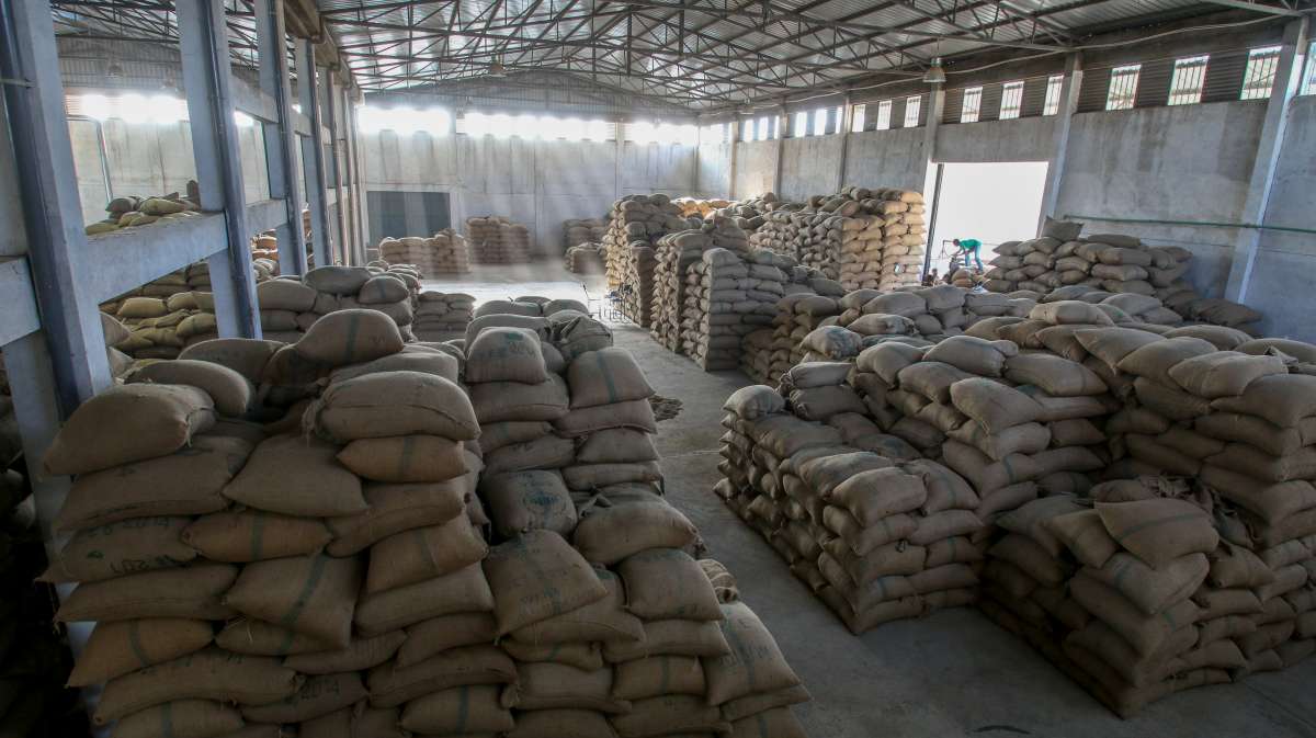 Ethiopia Single Origin