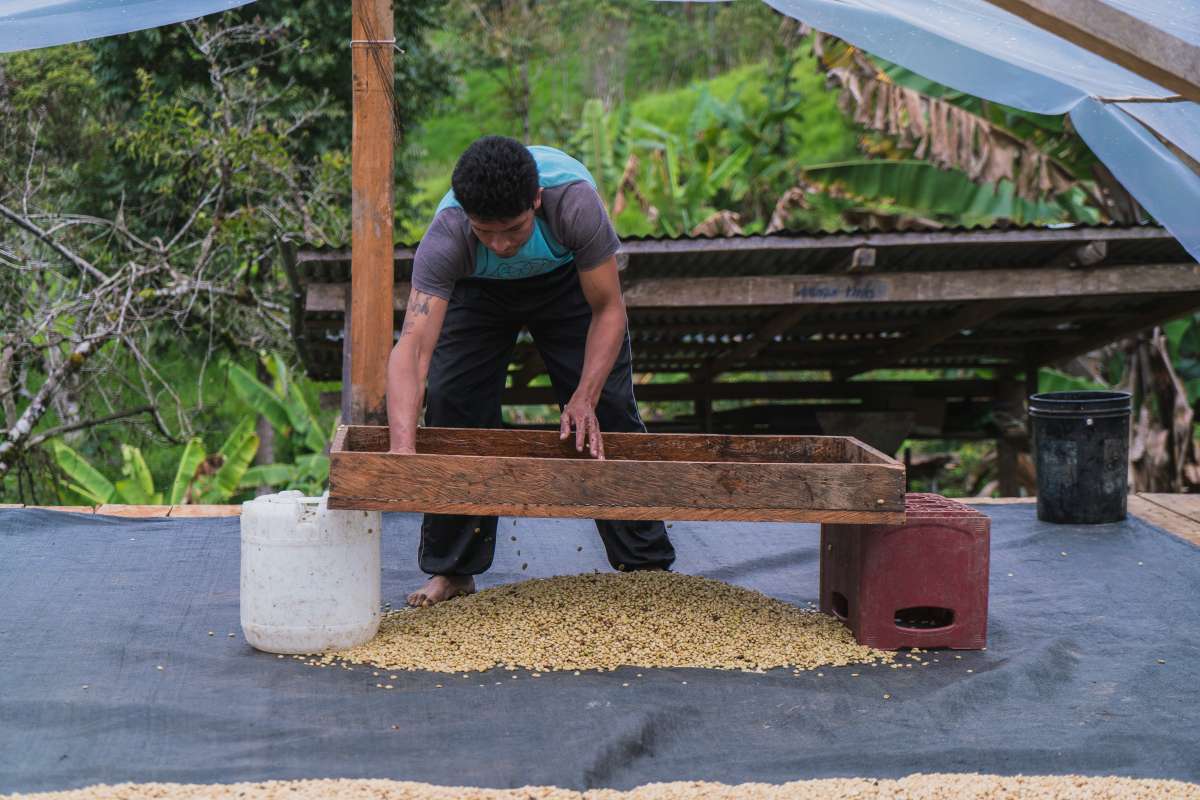Peru Single Origin